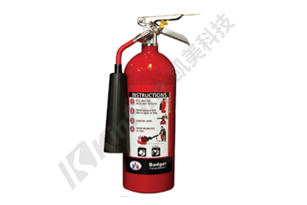 Portable CO2 fire extinguisher