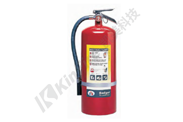 Portable dry powder fire extinguisher